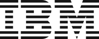 ibm logo big